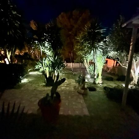 L'Oasi Una Pineta Sul Mare 쿠스토나치 외부 사진