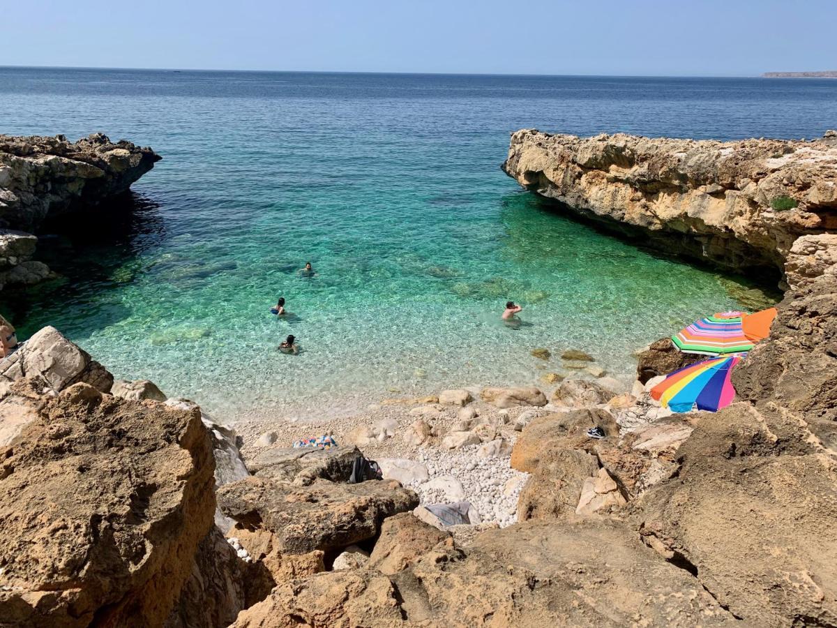 L'Oasi Una Pineta Sul Mare 쿠스토나치 외부 사진