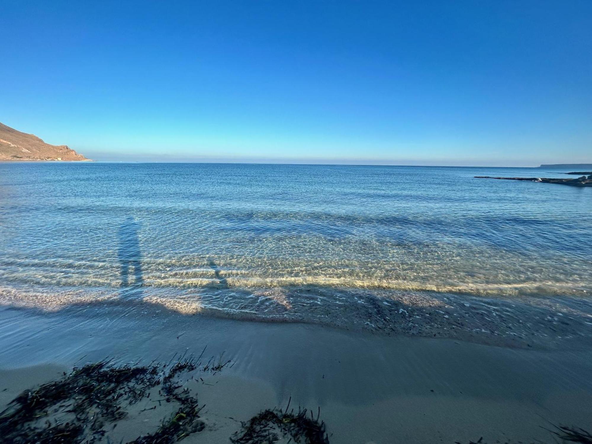 L'Oasi Una Pineta Sul Mare 쿠스토나치 외부 사진
