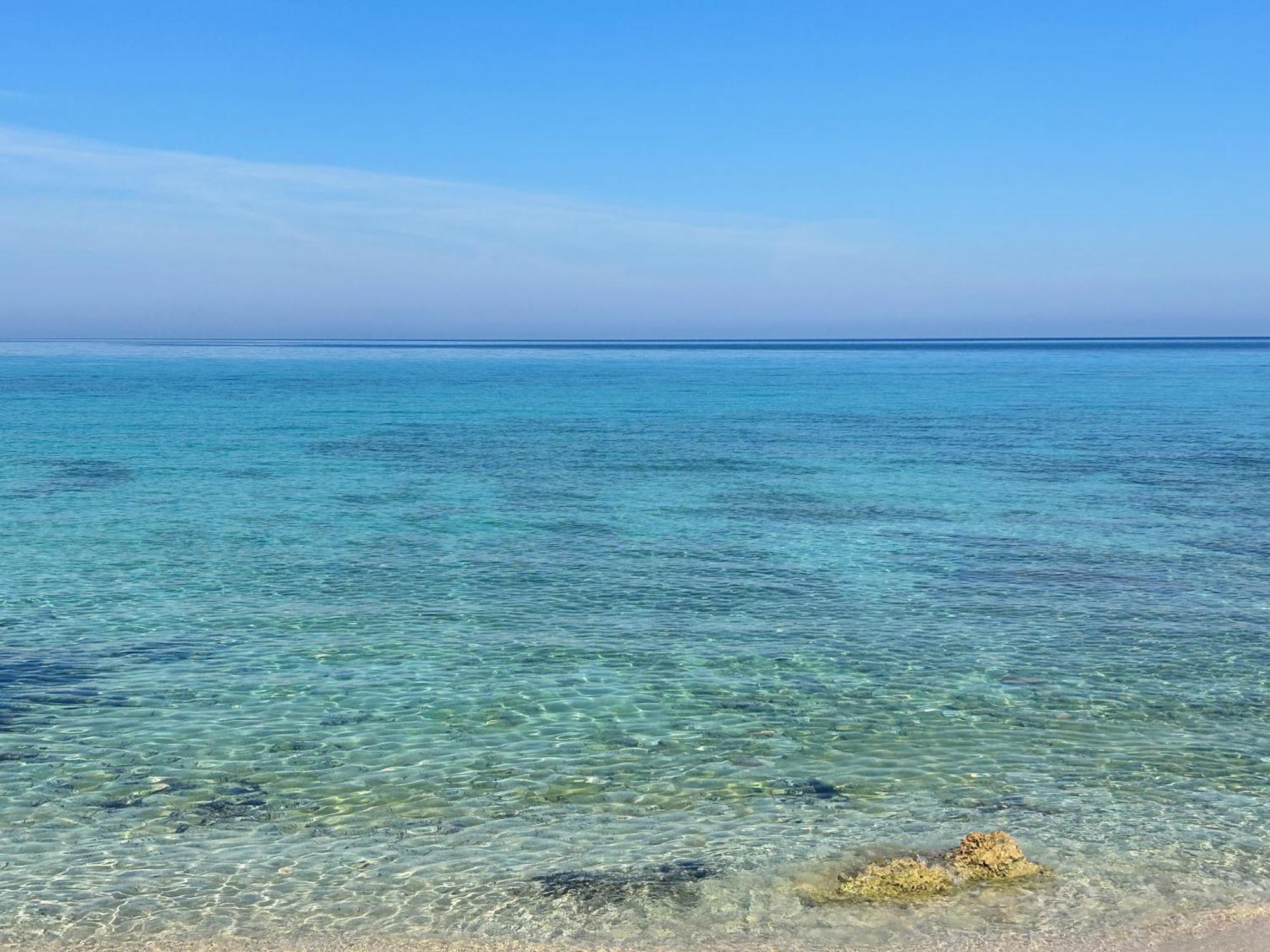 L'Oasi Una Pineta Sul Mare 쿠스토나치 외부 사진