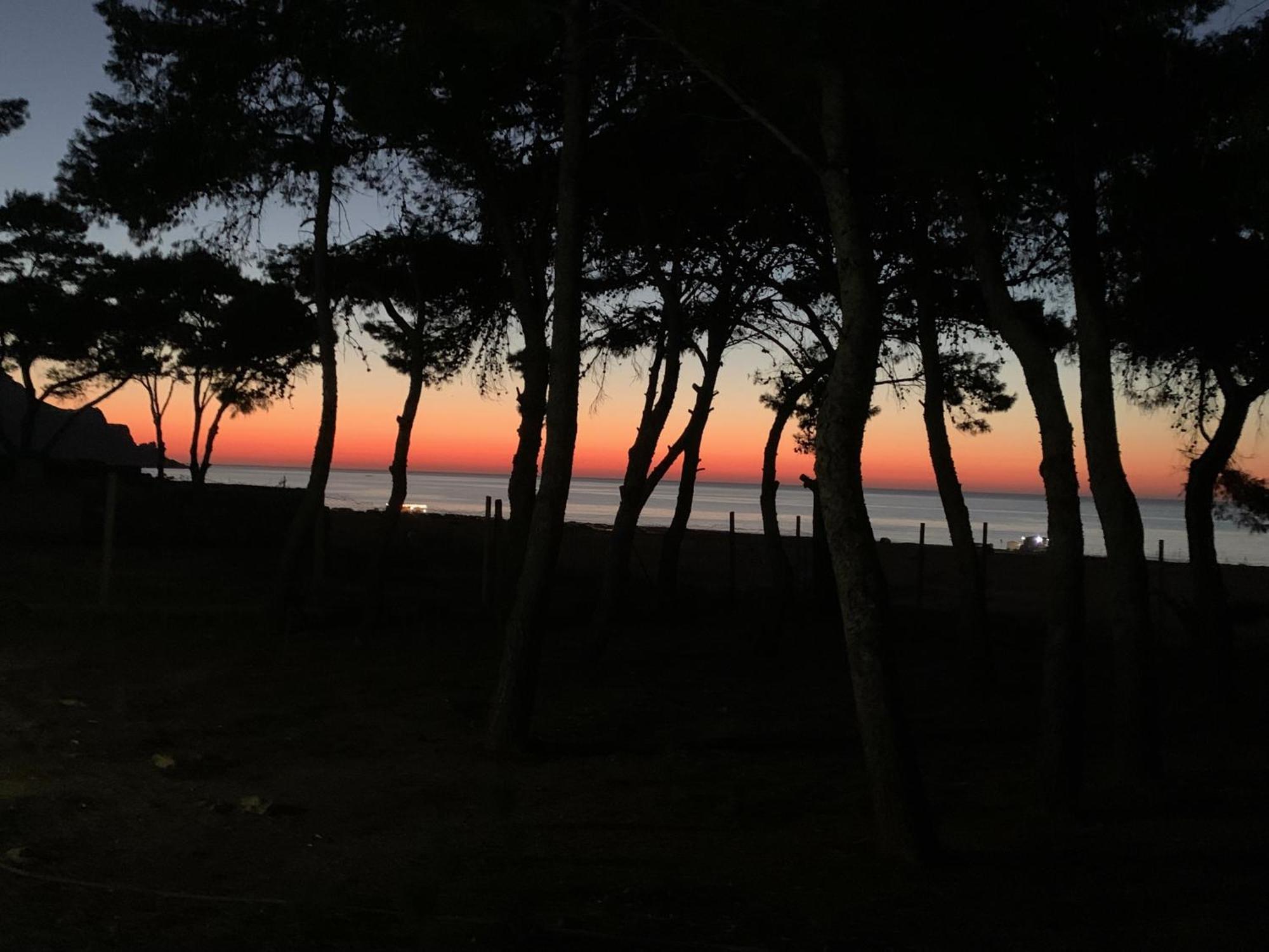 L'Oasi Una Pineta Sul Mare 쿠스토나치 외부 사진