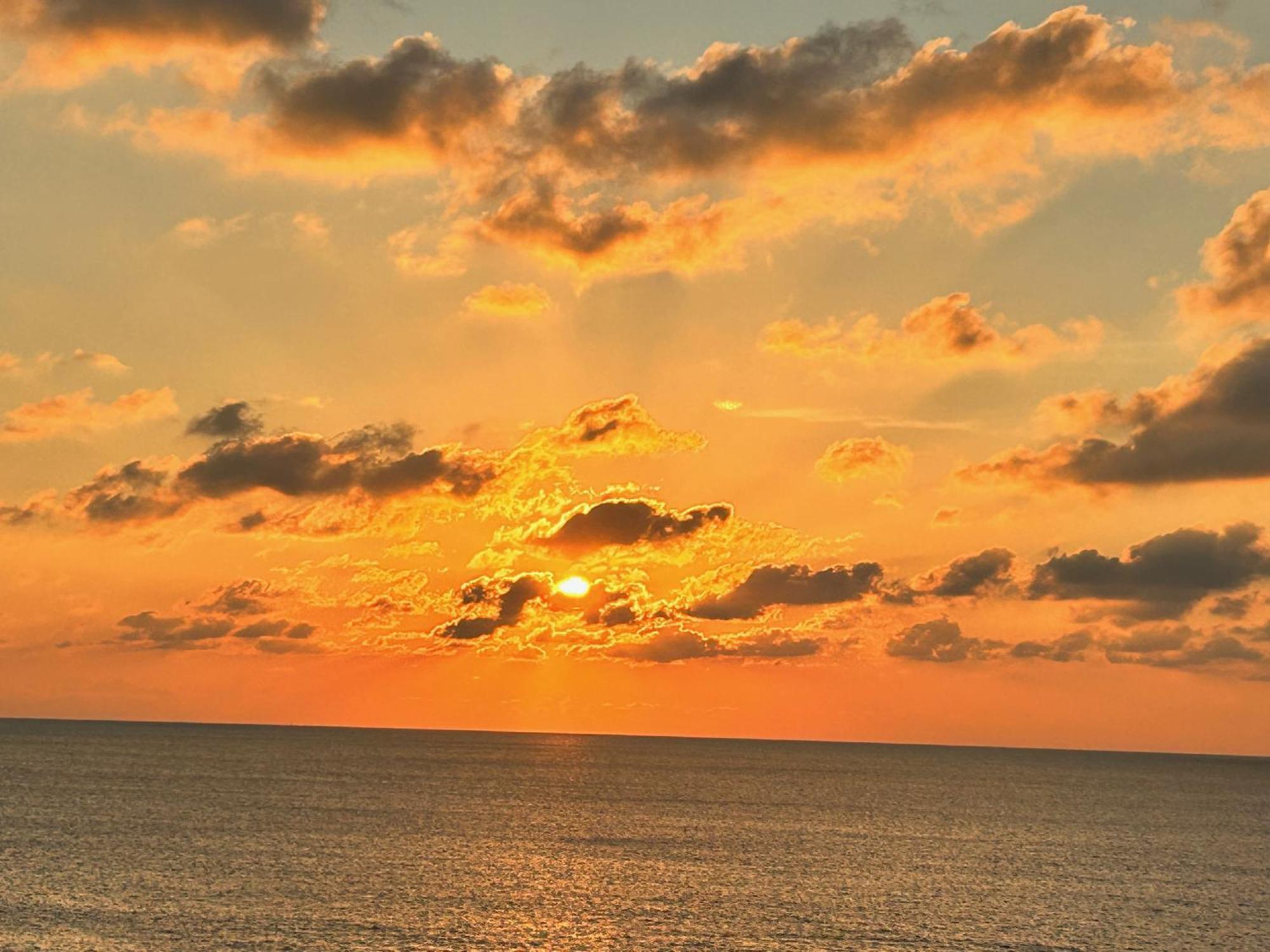 L'Oasi Una Pineta Sul Mare 쿠스토나치 외부 사진
