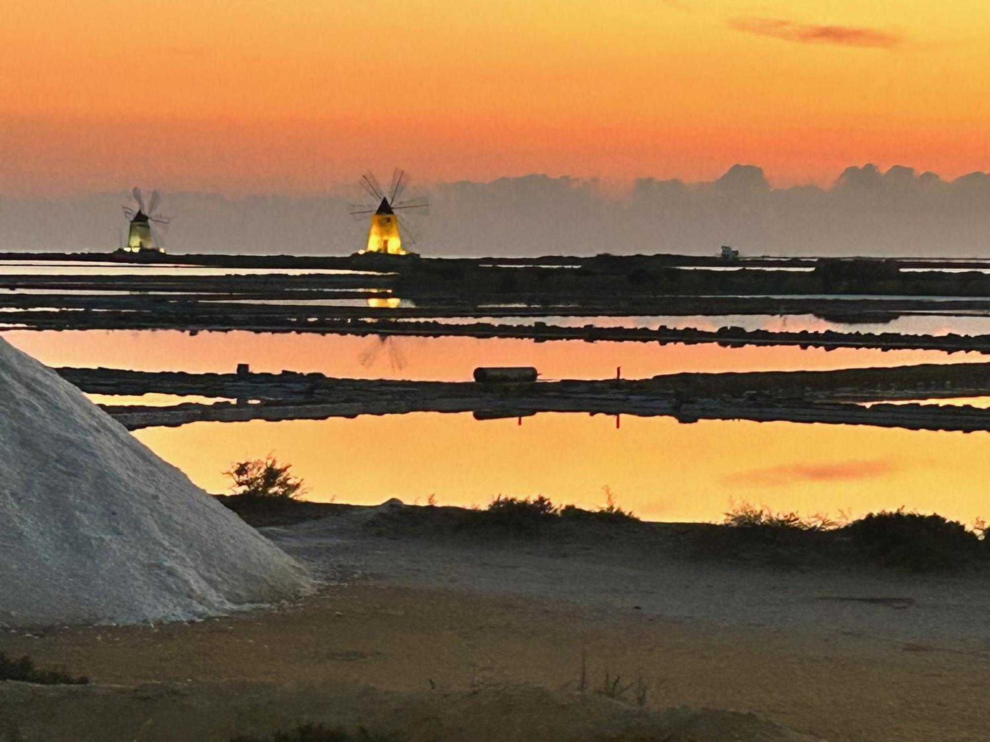 L'Oasi Una Pineta Sul Mare 쿠스토나치 외부 사진