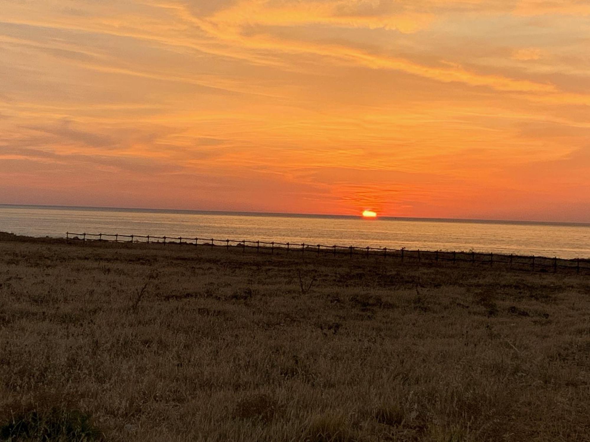 L'Oasi Una Pineta Sul Mare 쿠스토나치 외부 사진