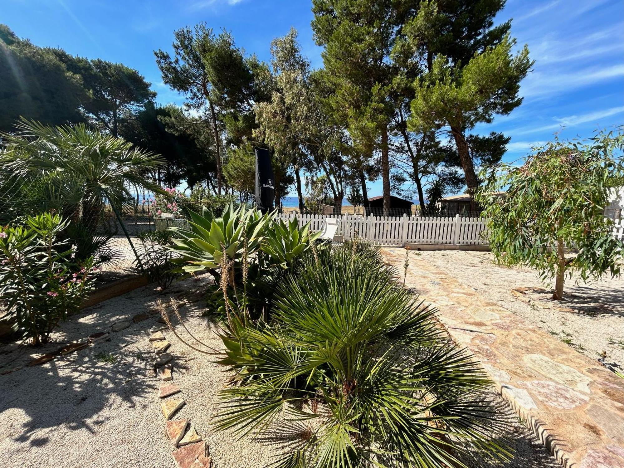 L'Oasi Una Pineta Sul Mare 쿠스토나치 외부 사진