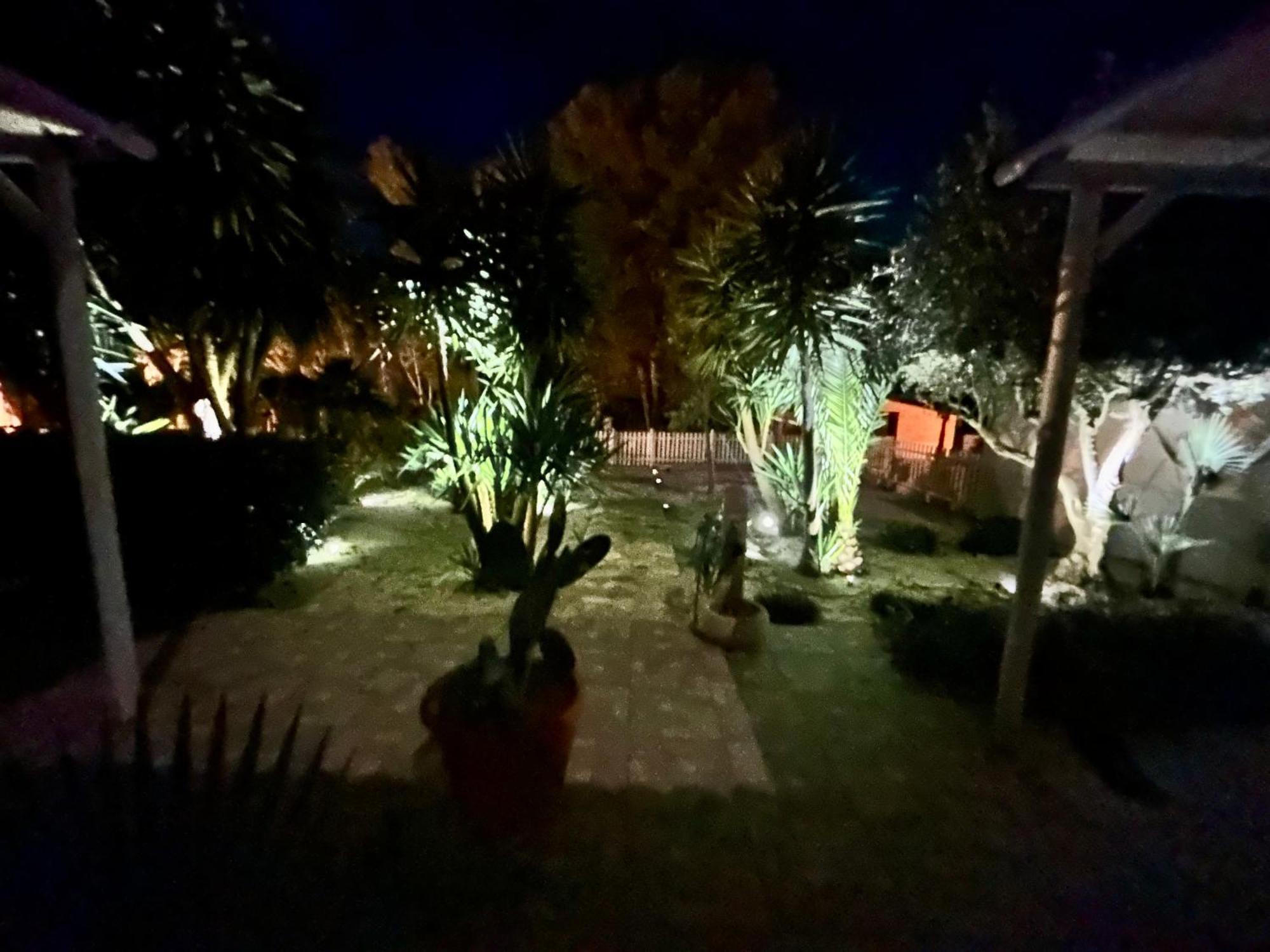 L'Oasi Una Pineta Sul Mare 쿠스토나치 외부 사진